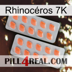 Rhinocéros 7K 27